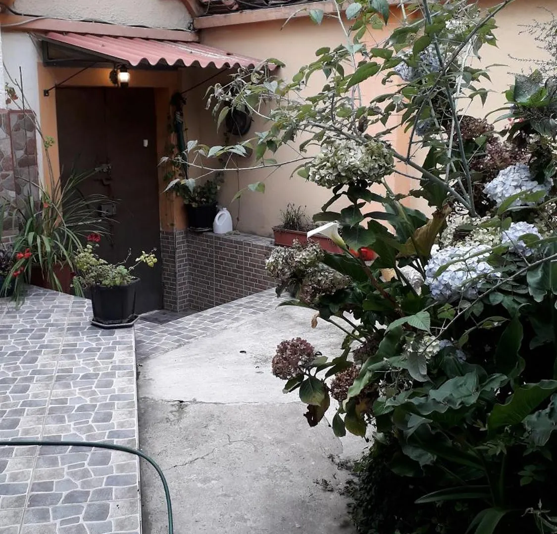 Kwatera prywatna Apartament Historic Centre Premium Quality Lodging Quito