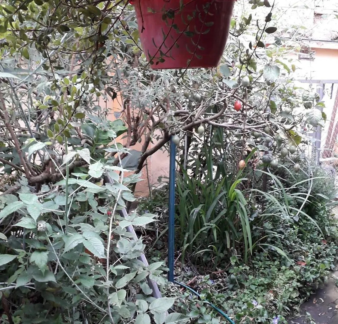 דירות קיטו Historic Centre Premium Quality Lodging בית אירוח